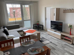 Apartmán ve Velkých Losinách, Velké Losiny